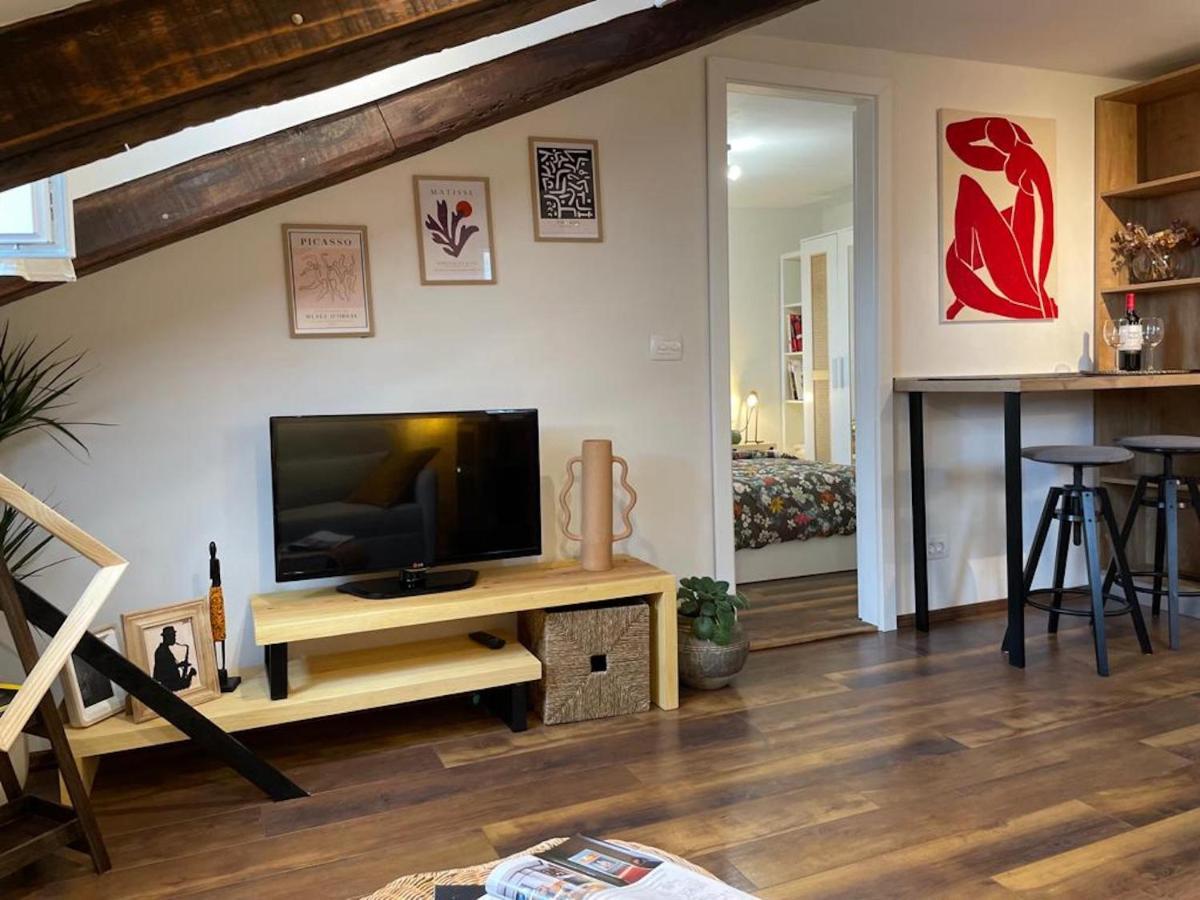 Apartment In Town Centre Rijeka